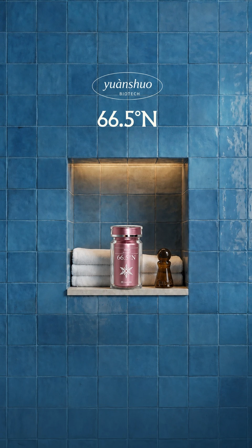 66.5°N極光植萃