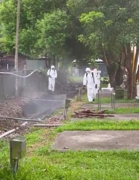 草坪戶外消毒防治