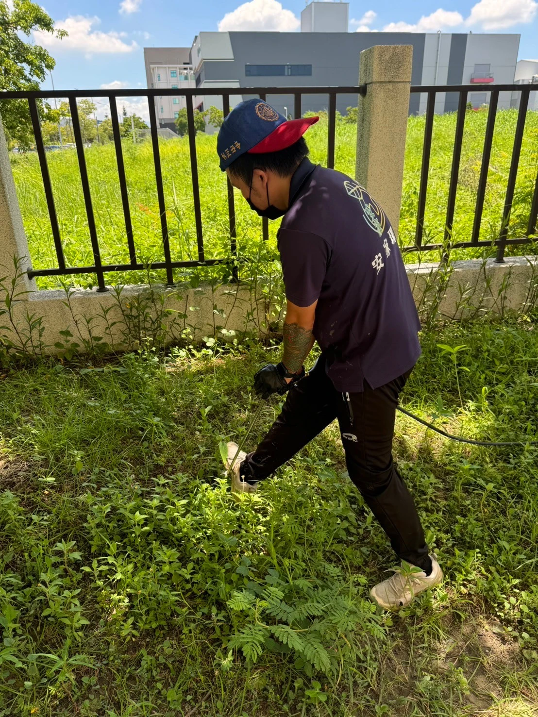 工廠園藝區白蟻入侵怎麼辦？預防與防治重點一次看懂｜安家環保除蟲專家