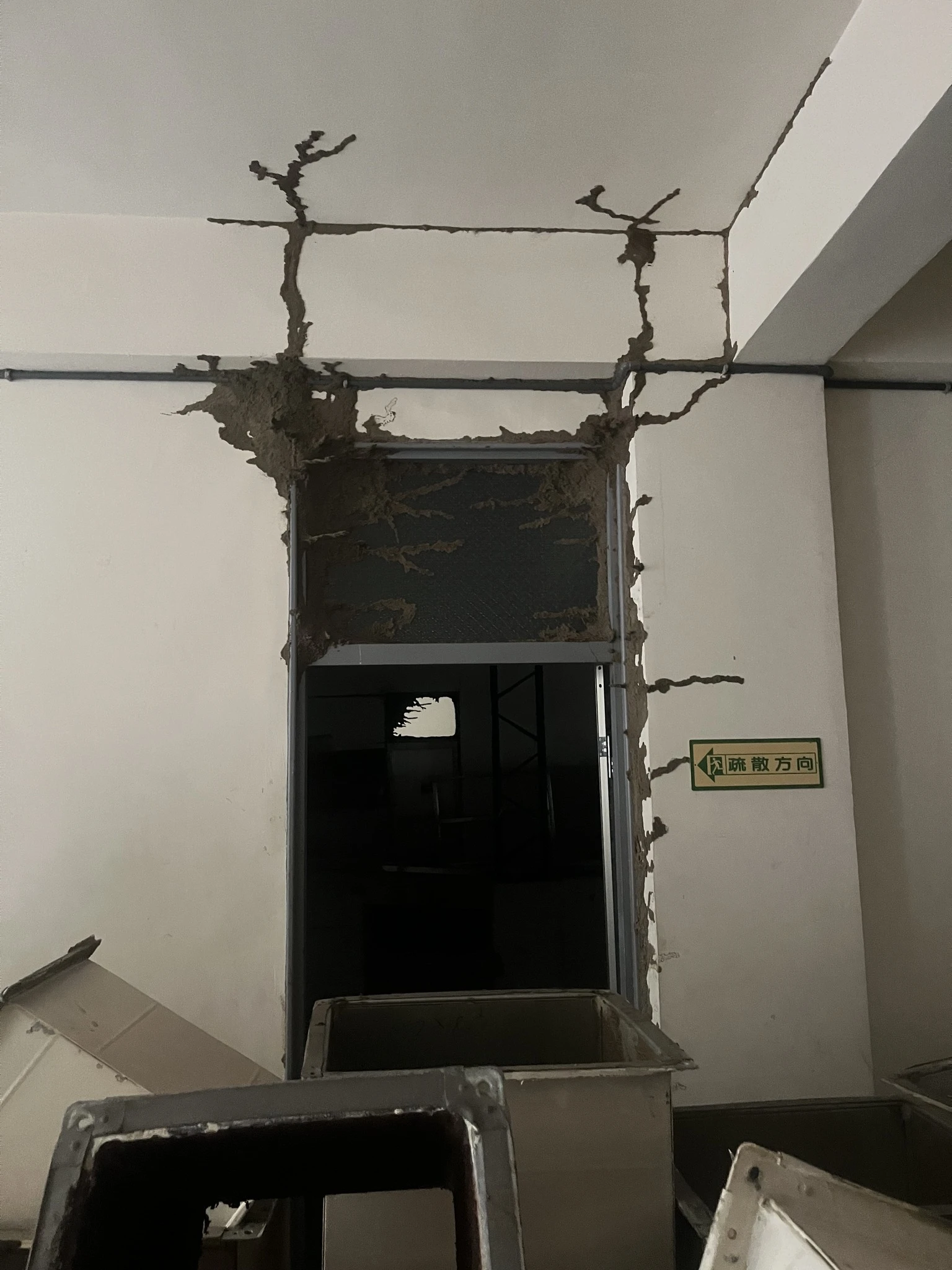 裝潢裡的白蟻悄悄築巢？限制空間也能成為蟻巢重災區｜安家環保防治專家