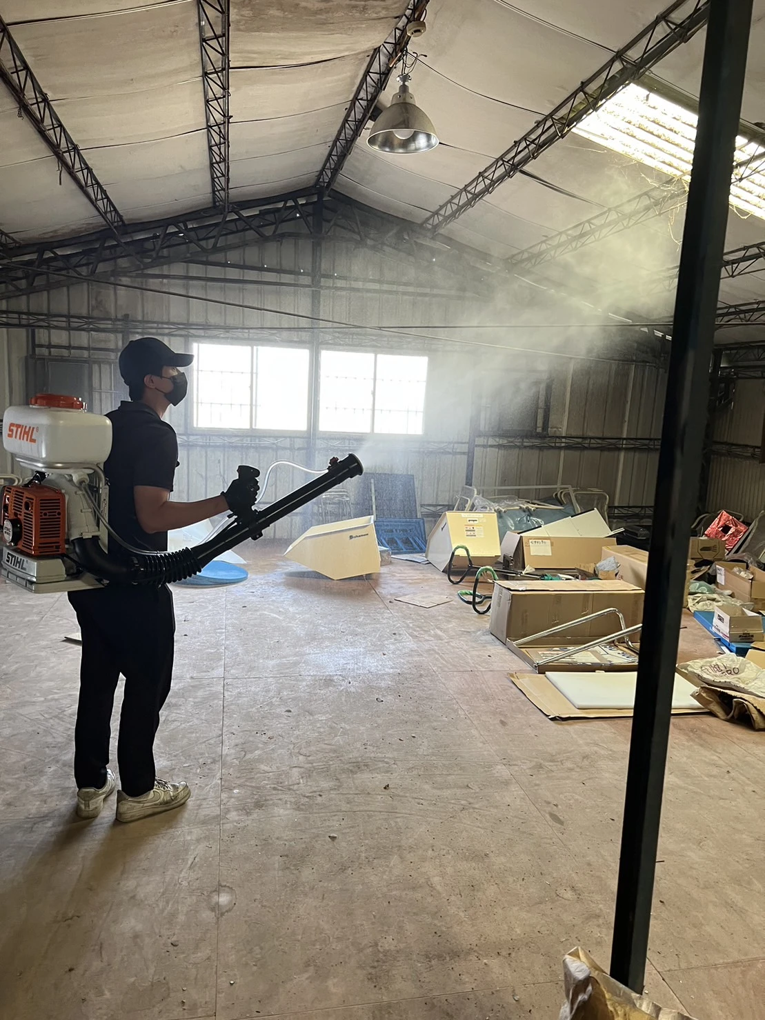 工廠跳蚤從哪來？浪貓老鼠導致跳蚤孳生原因與防治方法｜安家環保