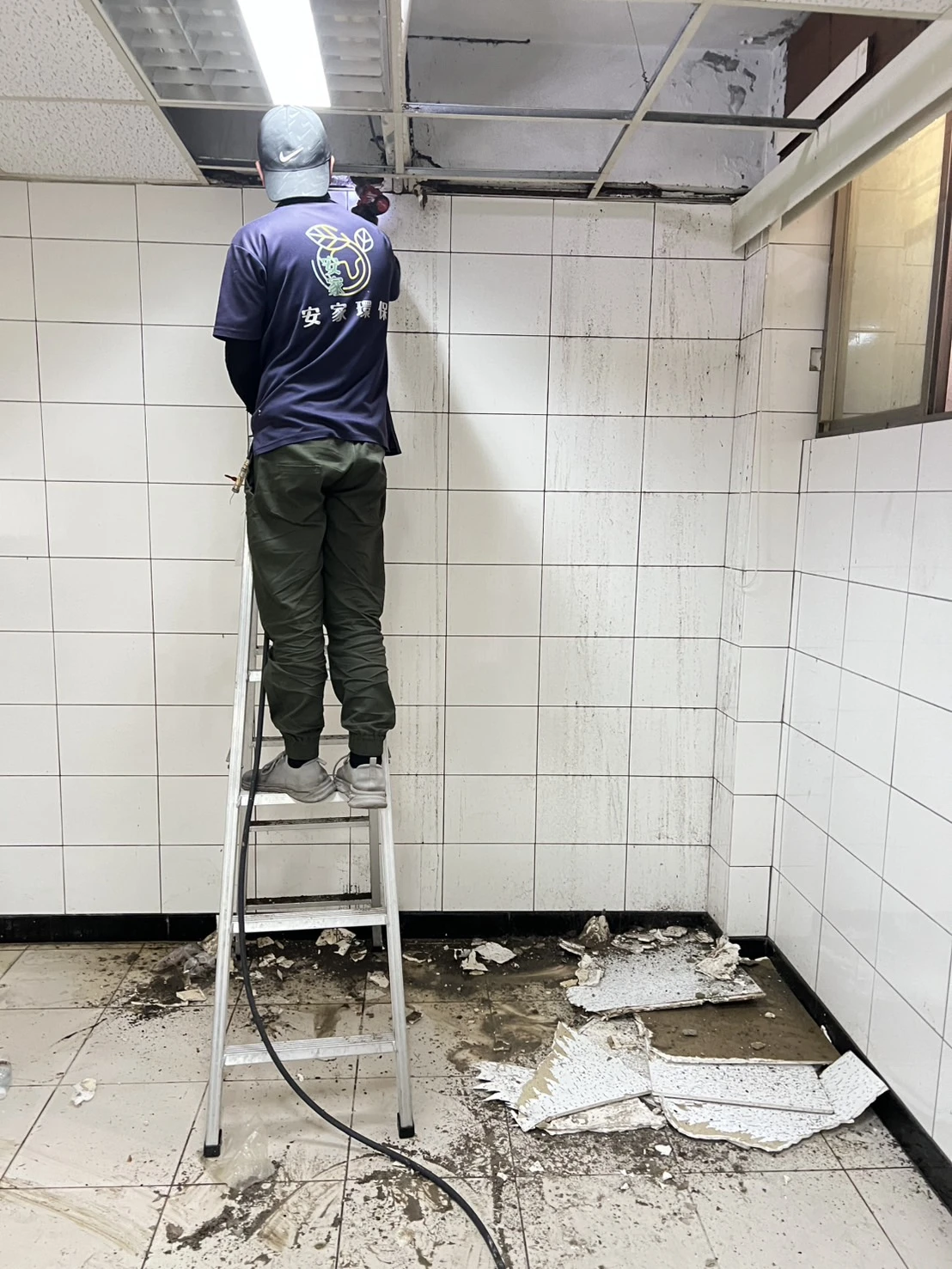 白蟻入侵裝潢怎麼辦？租客疏忽釀禍，屋主緊急終止租約｜真實案例＋防治建議