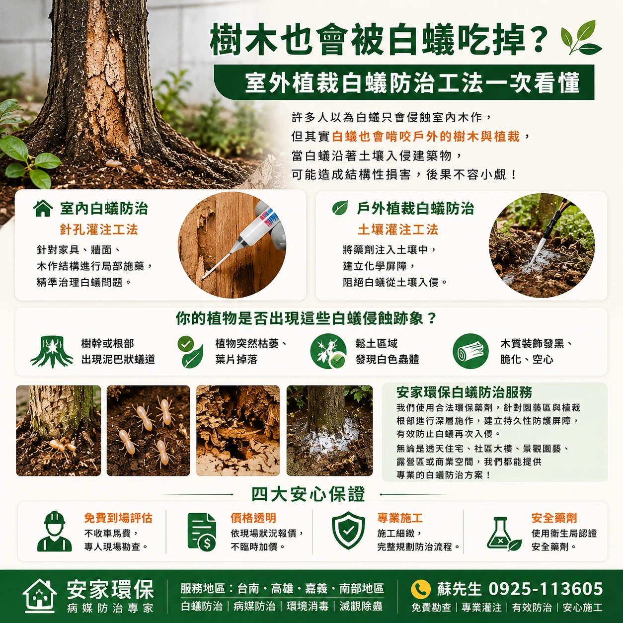 樹木也會被白蟻吃掉？室外植栽白蟻防治工法一次看懂｜安家環保