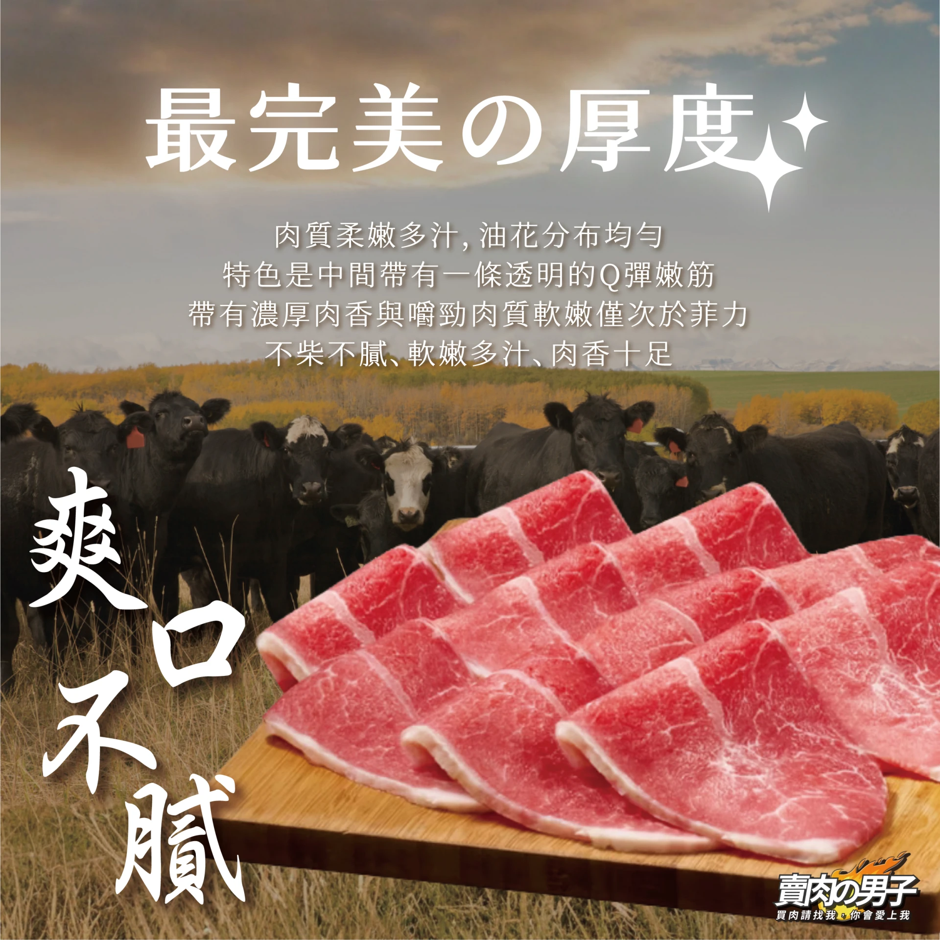 【賣肉男子】美國嫩肩板腱平舖肉片／500G／美國／安格斯／板腱／999$超商免運／台南賣肉男子