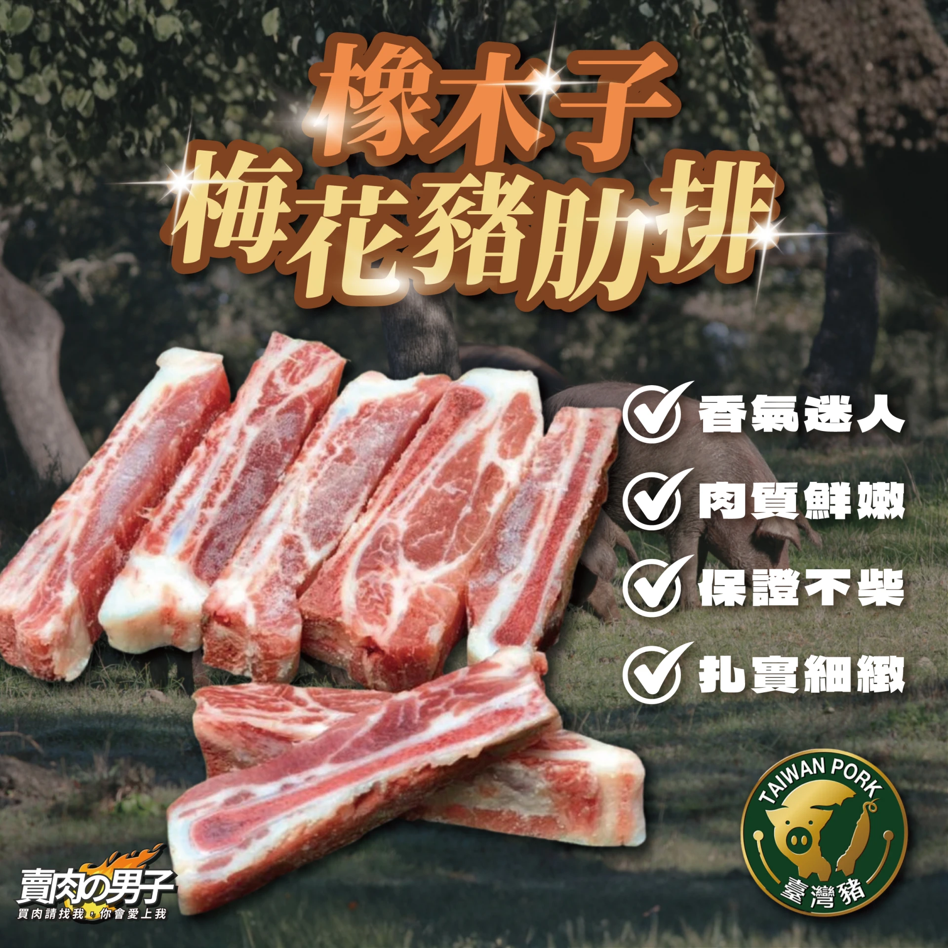 【賣肉男子】國產橡木子豬肋排／500g／豬梅花／國產豬肉／滿額免運／台南