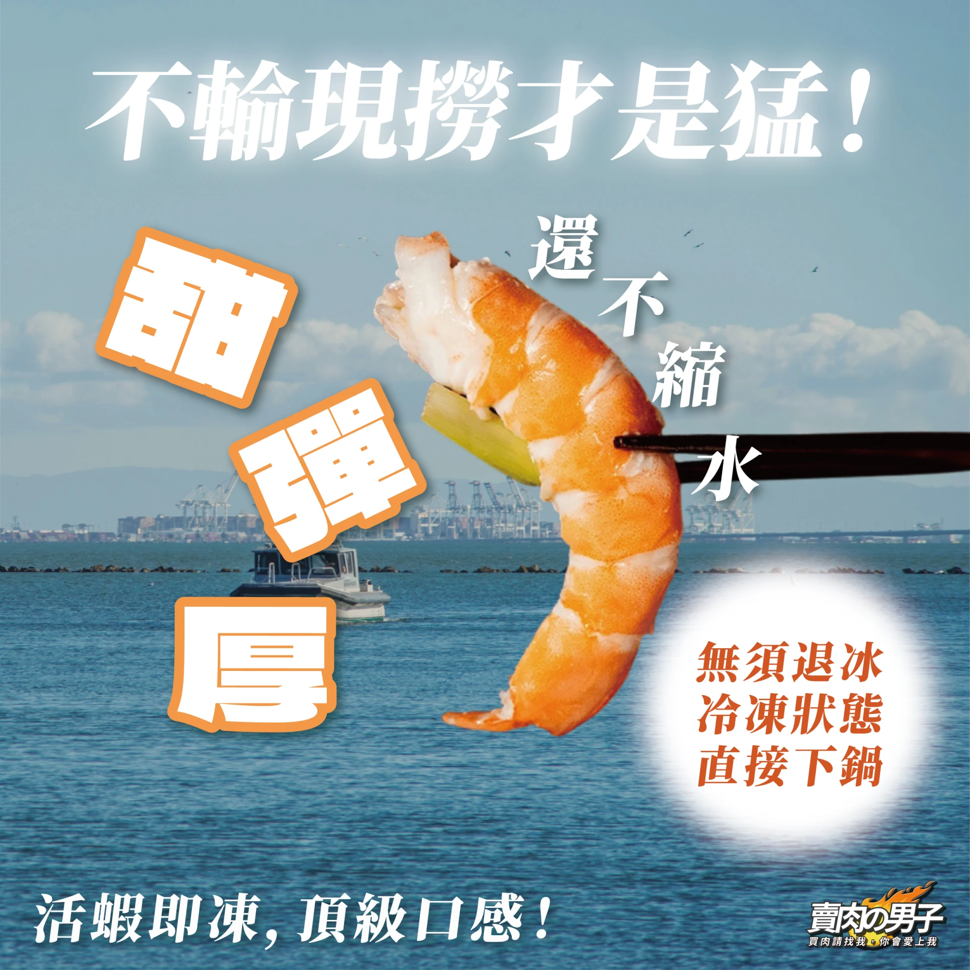 活凍白蝦／600g／規格20/30／蝦子／海產蝦／火鍋／燒烤／999$超商免運／台南賣肉男子