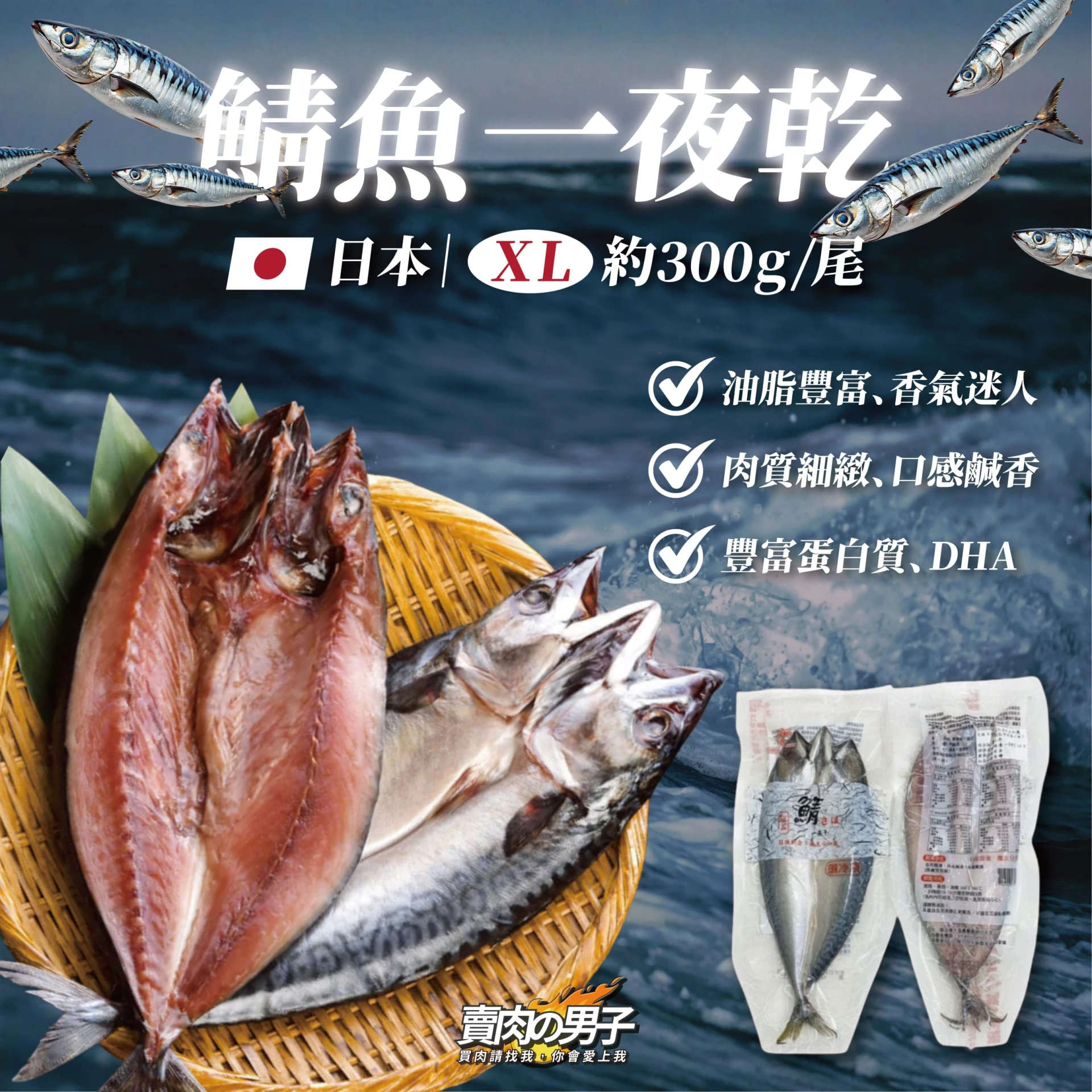 日本 鯖魚一夜乾XL 燒烤/煎/氣炸