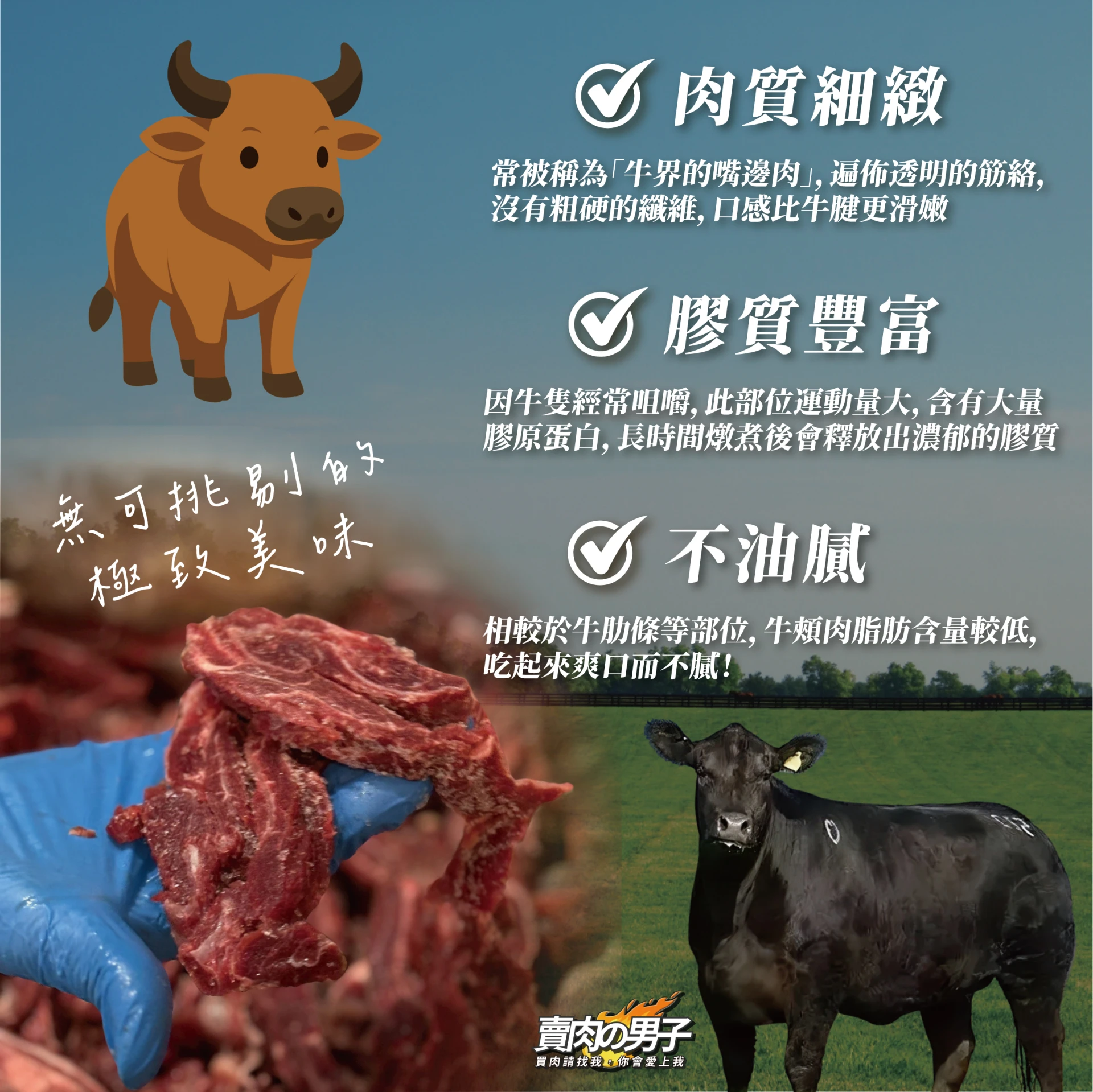 【特殊｜燉煮】牛三寶｜牛大骨｜帶皮牛尾｜牛頰肉