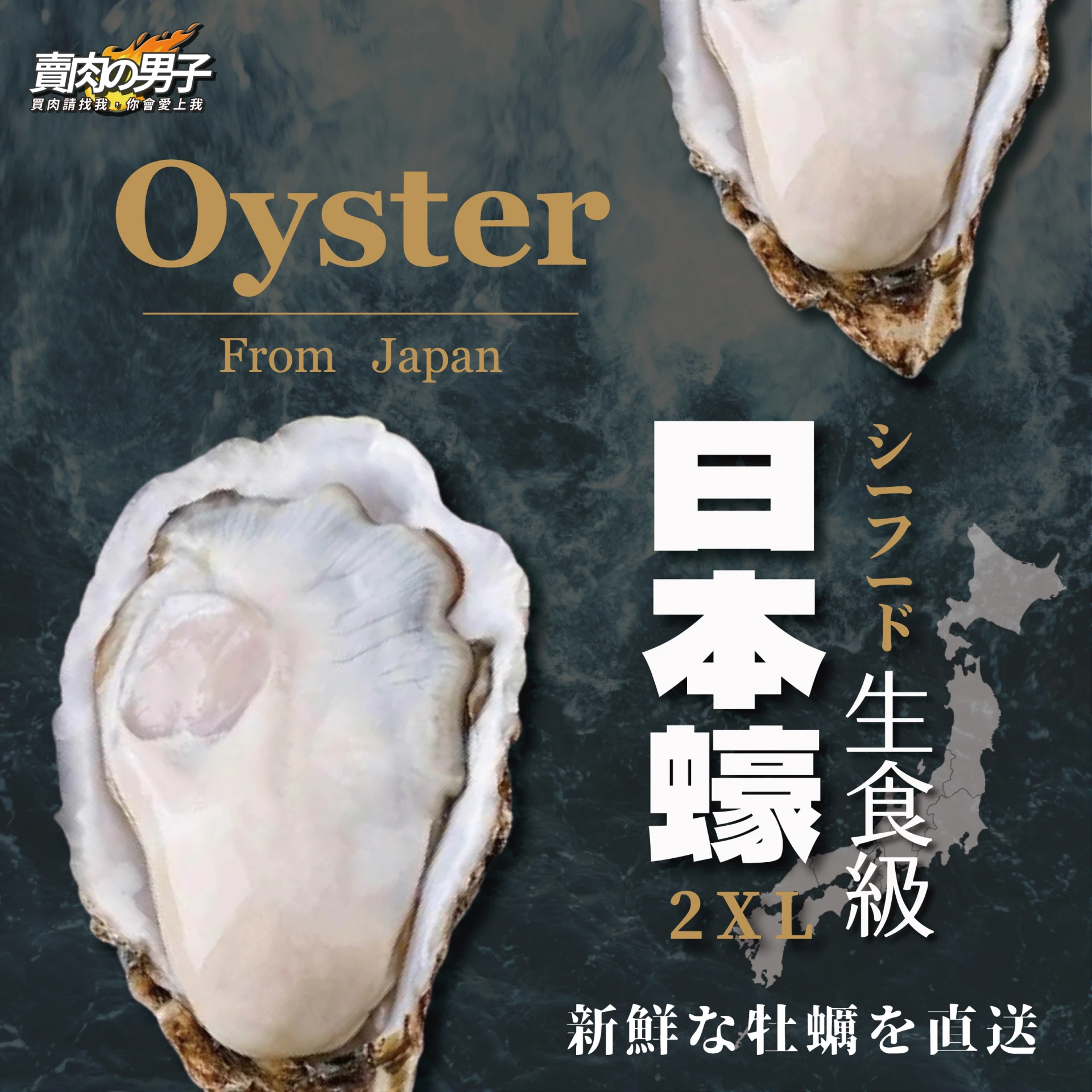 【日本直送】XL生食級生蠔