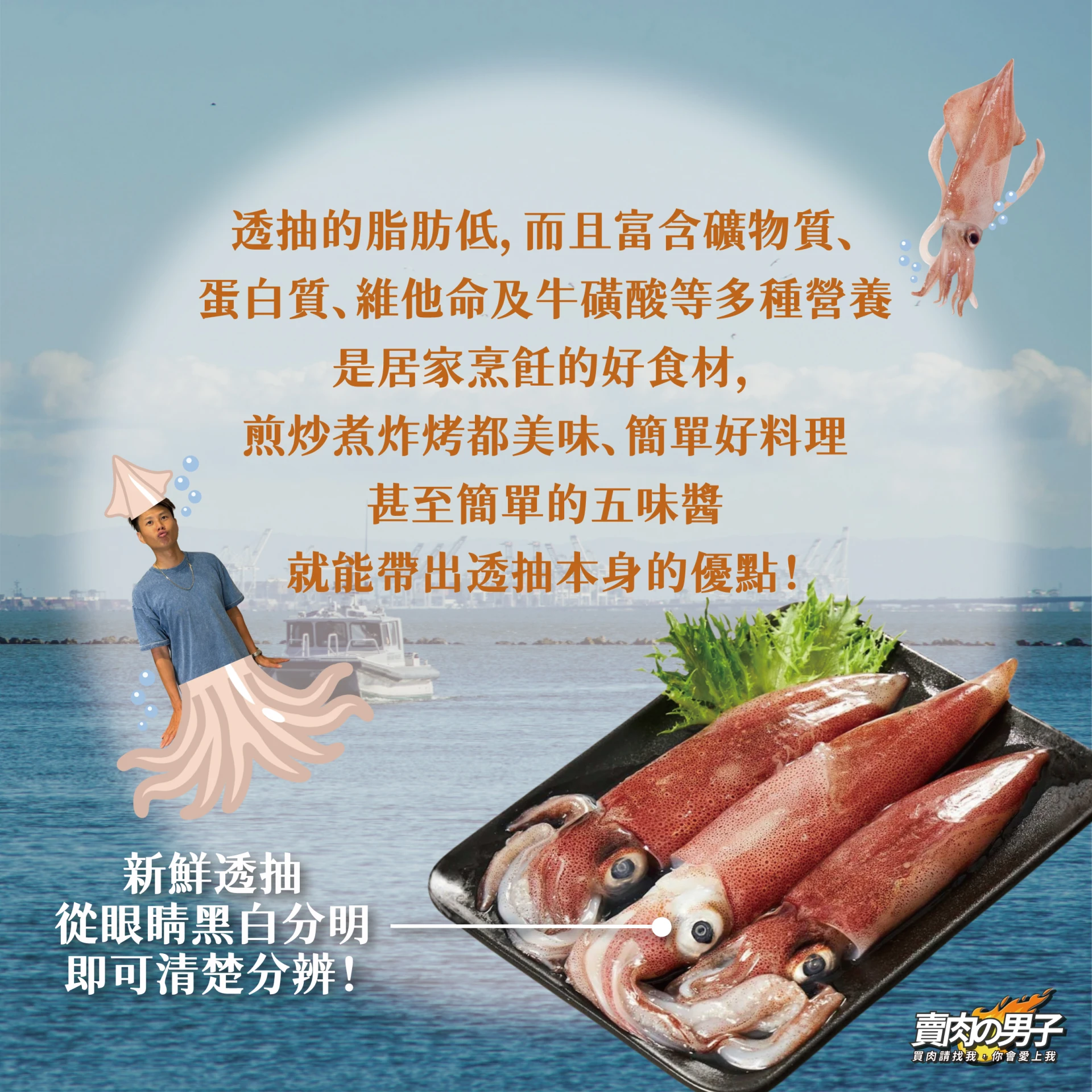 【海鮮｜印尼】XL船凍大透抽｜海鮮｜軟絲