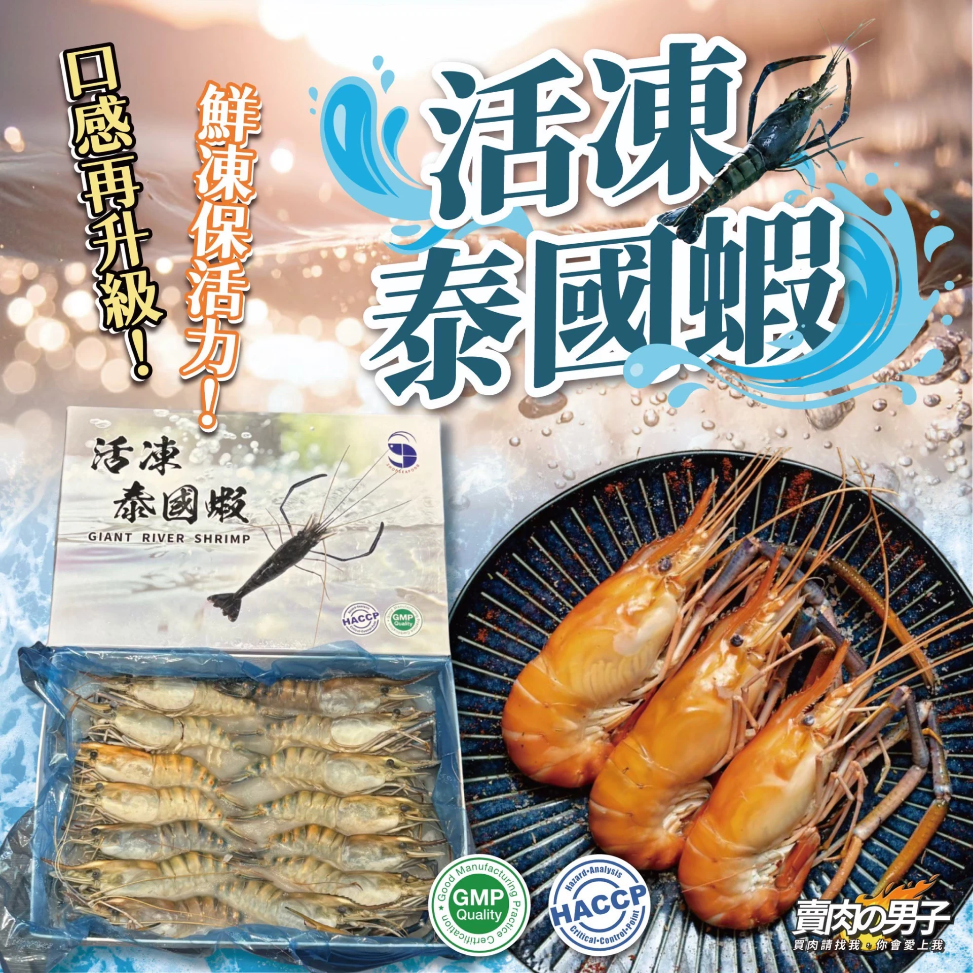 2026官網商品★福利特惠出清★