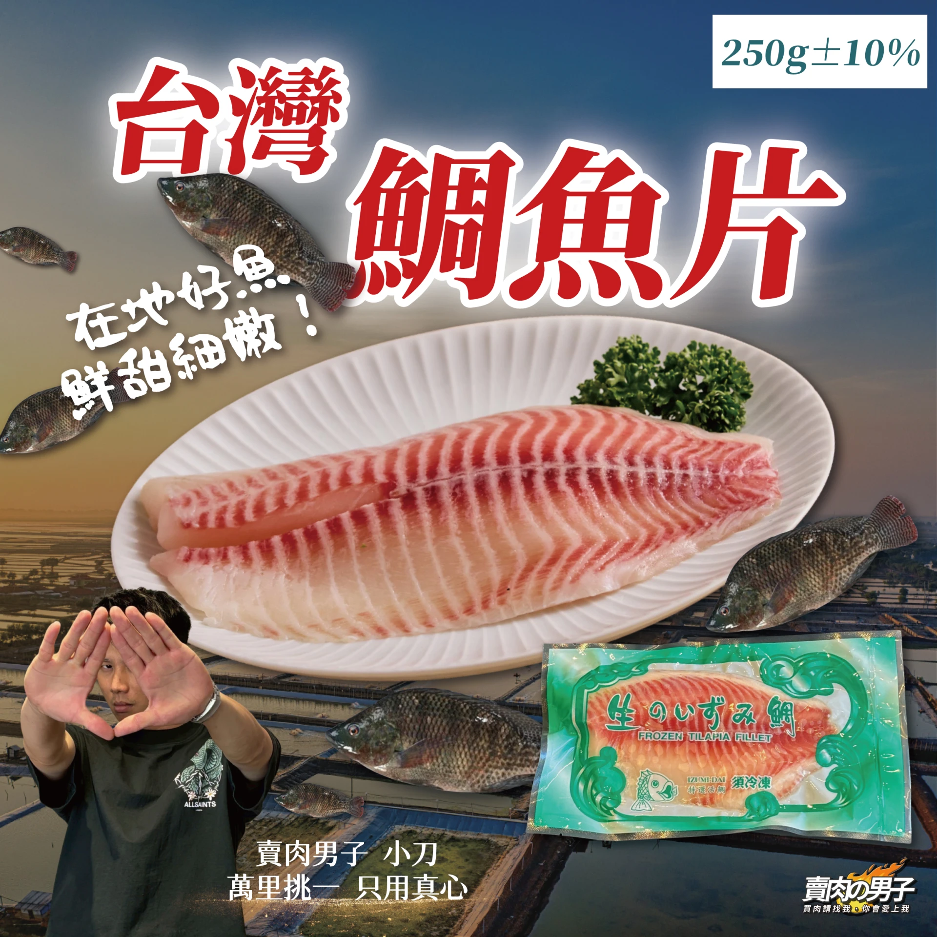 台灣 雙背鯛魚片