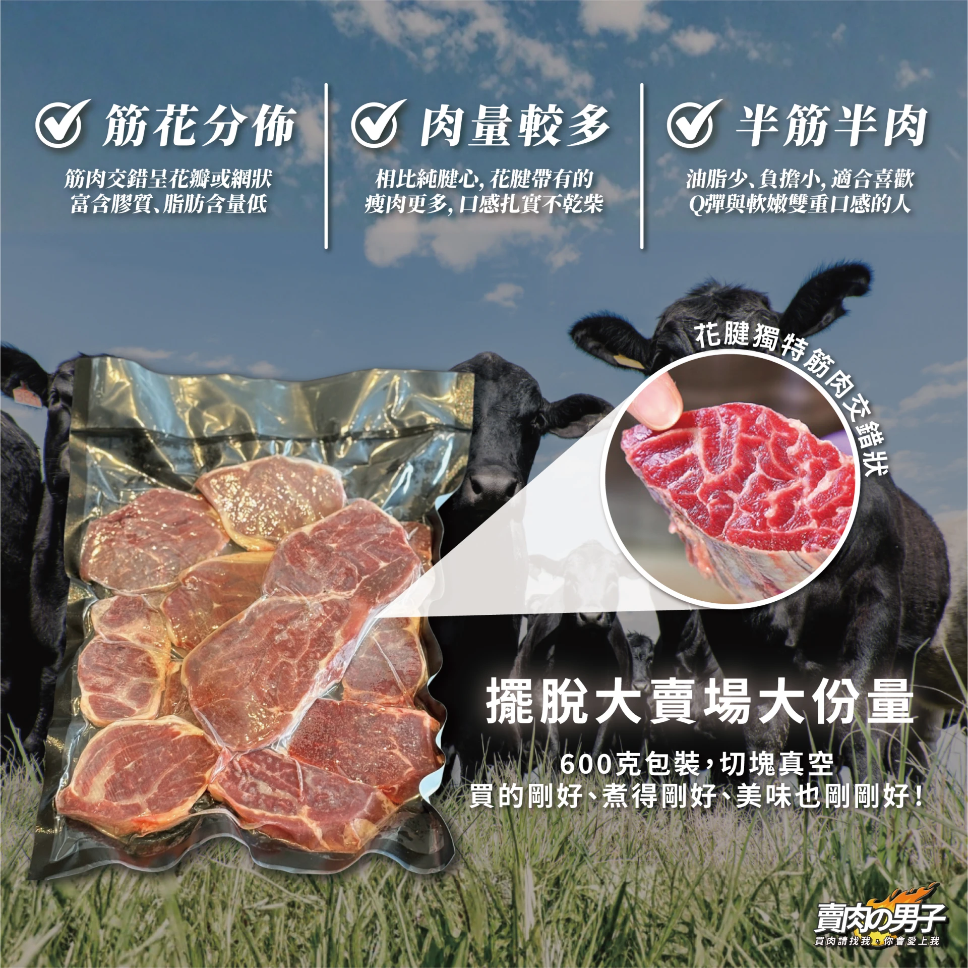 【原塊｜紐西蘭】精選牛花腱｜燉煮系列｜客製化包裝