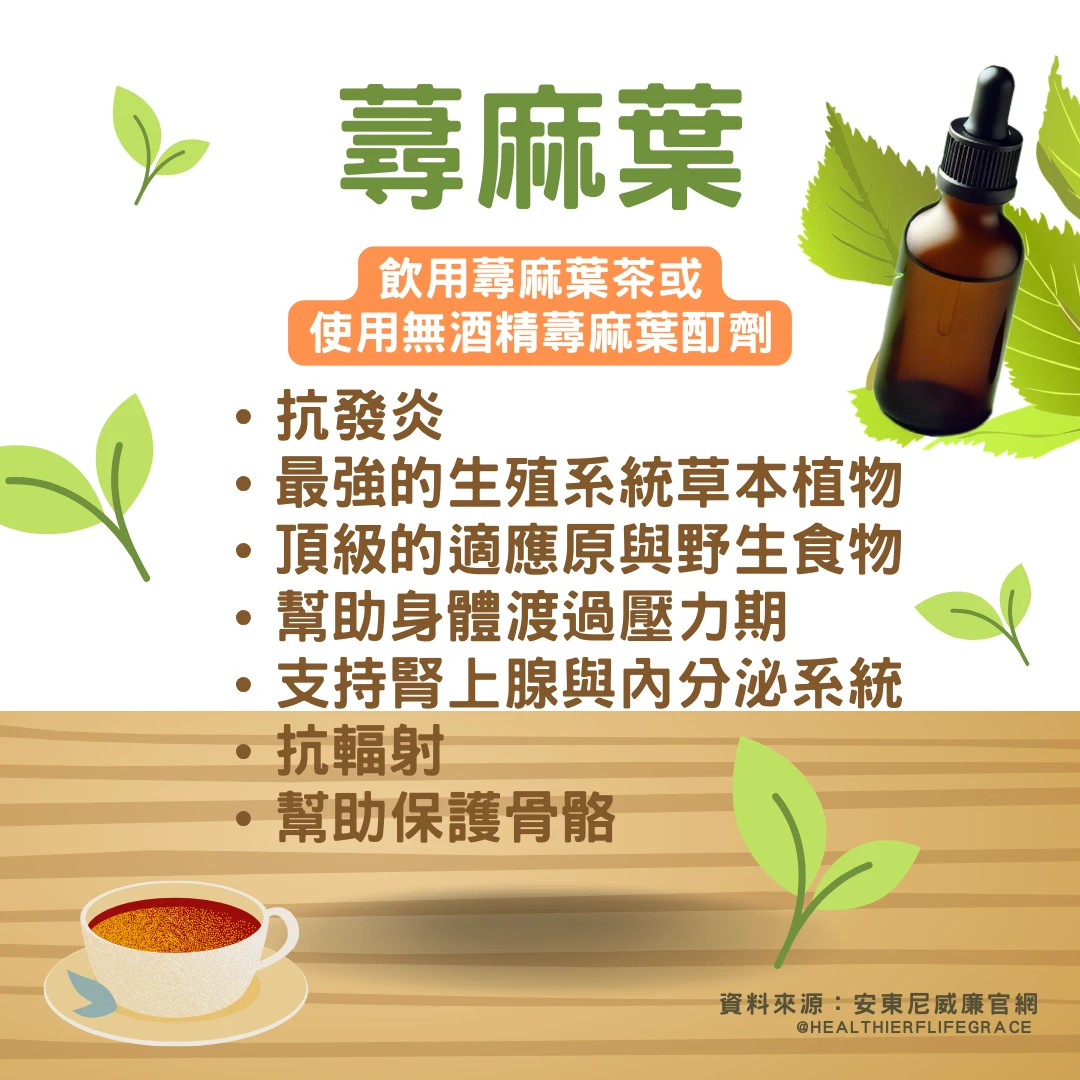 蕁麻葉