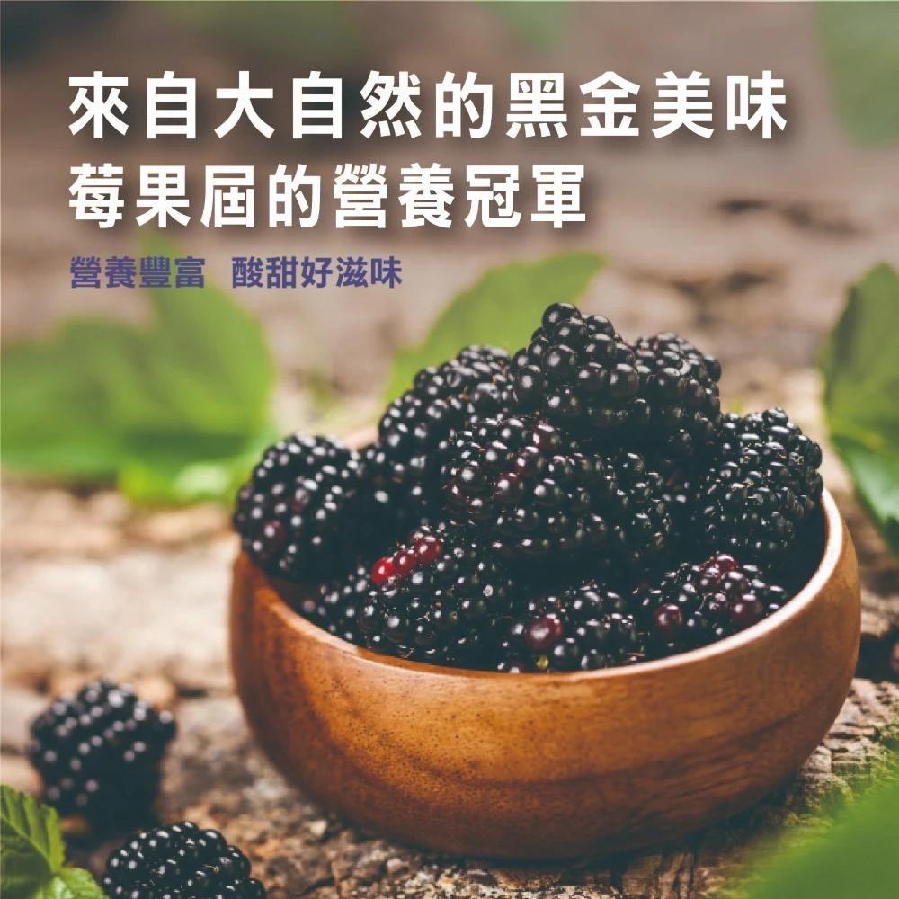 急速冷凍智利黑莓