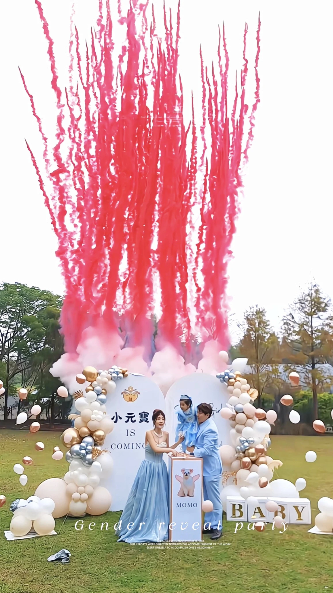 性別揭曉C