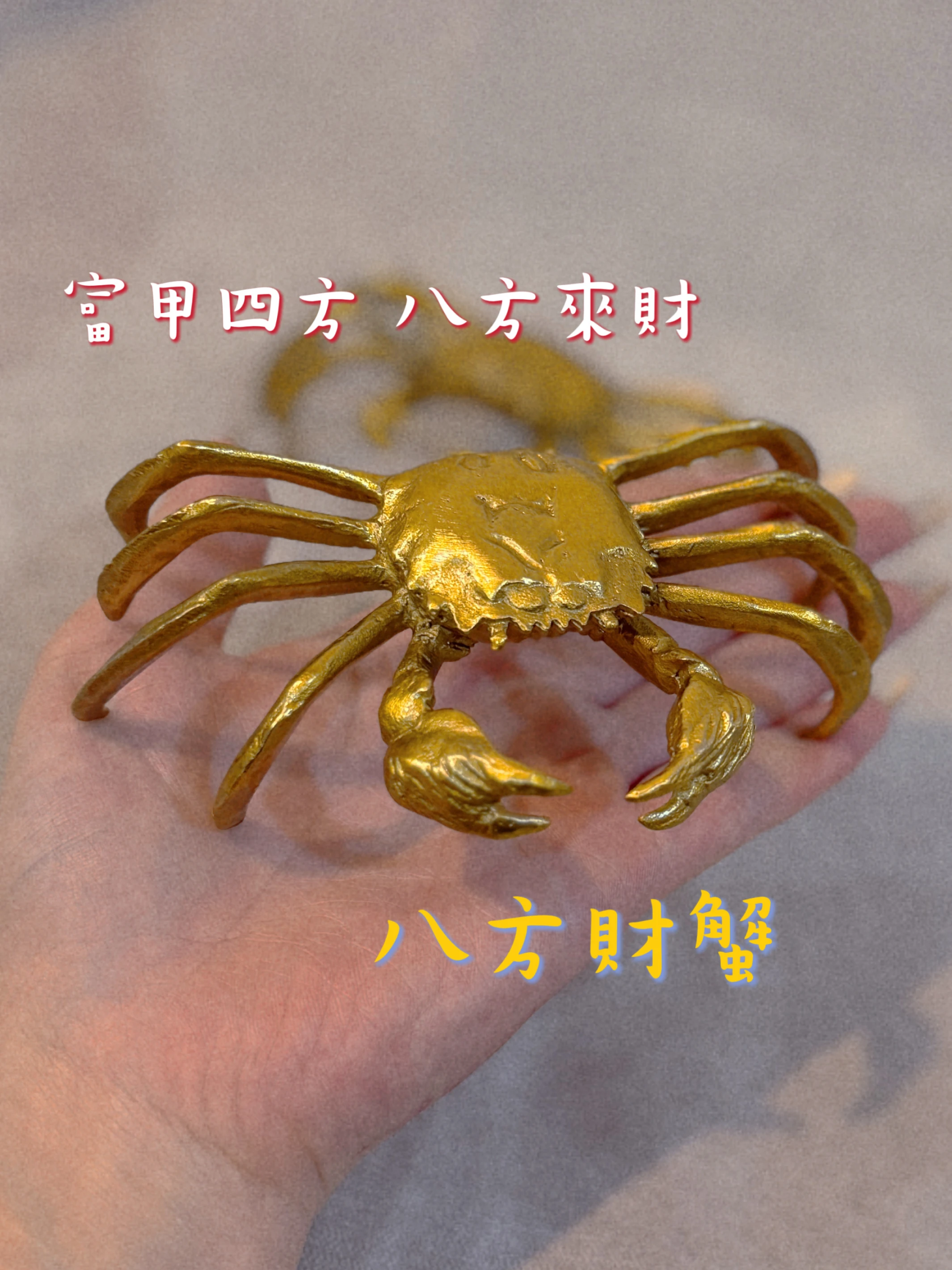 恩悉老師獨家-八方財蟹(不含紙鈔)