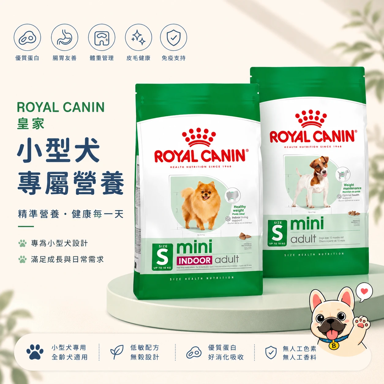 法國皇家 Royal Canin 小型犬成犬飼料｜Mini Adult 室內小型犬專用配方