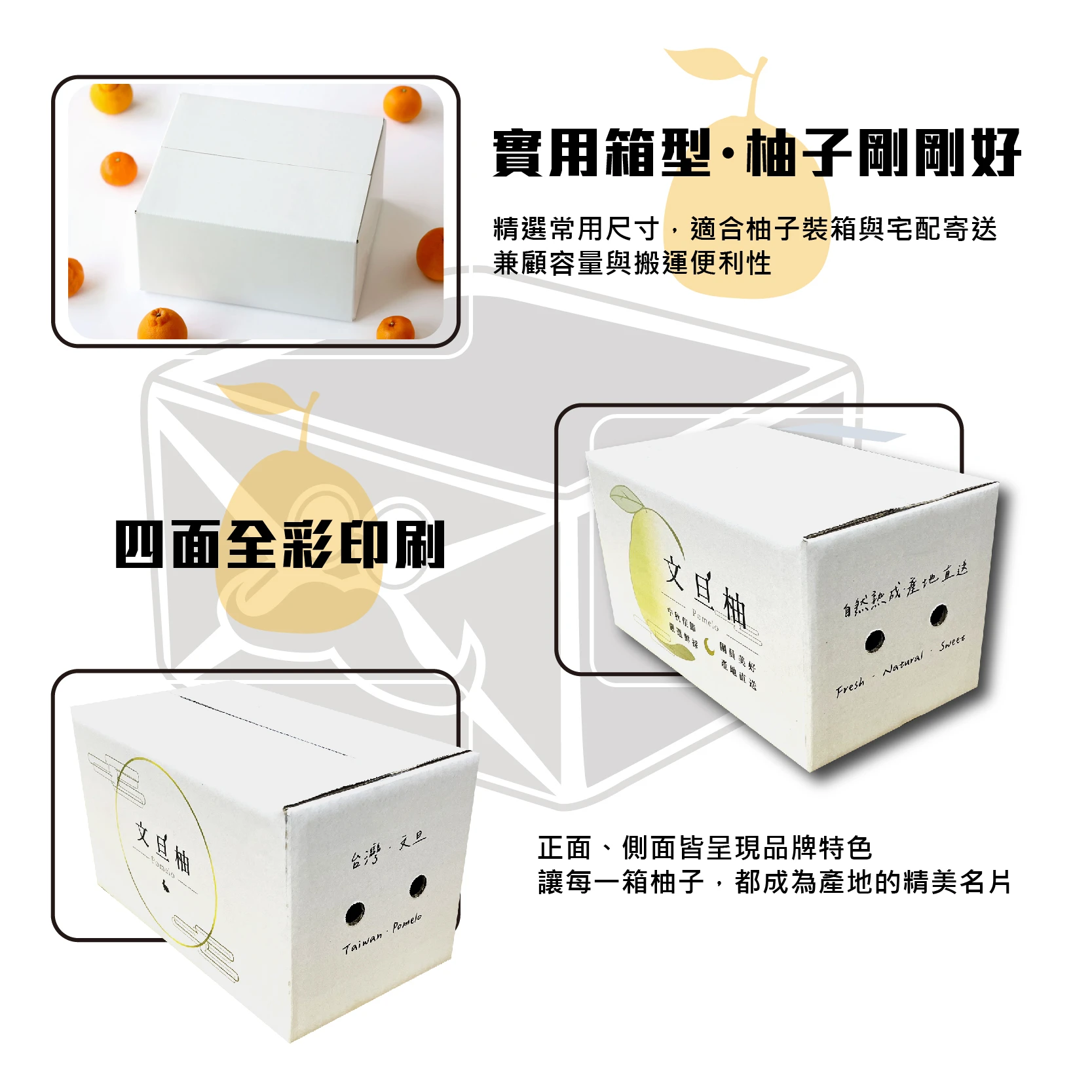 限量 文旦柚子箱V03