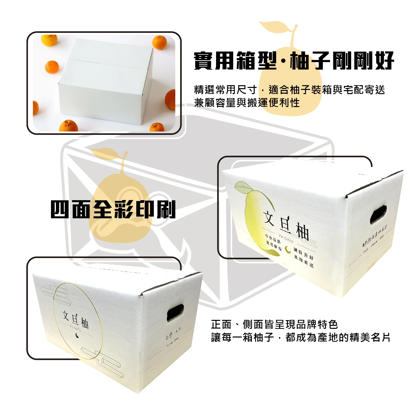 限量 中秋文旦箱V12
