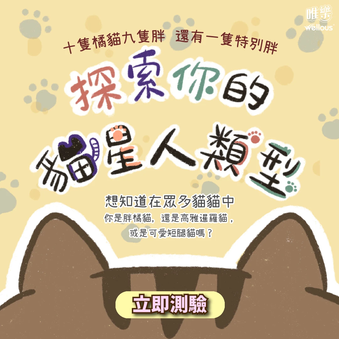探索你的貓星人類型