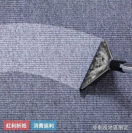 地毯深層污漬清洗＋除蟎除塵