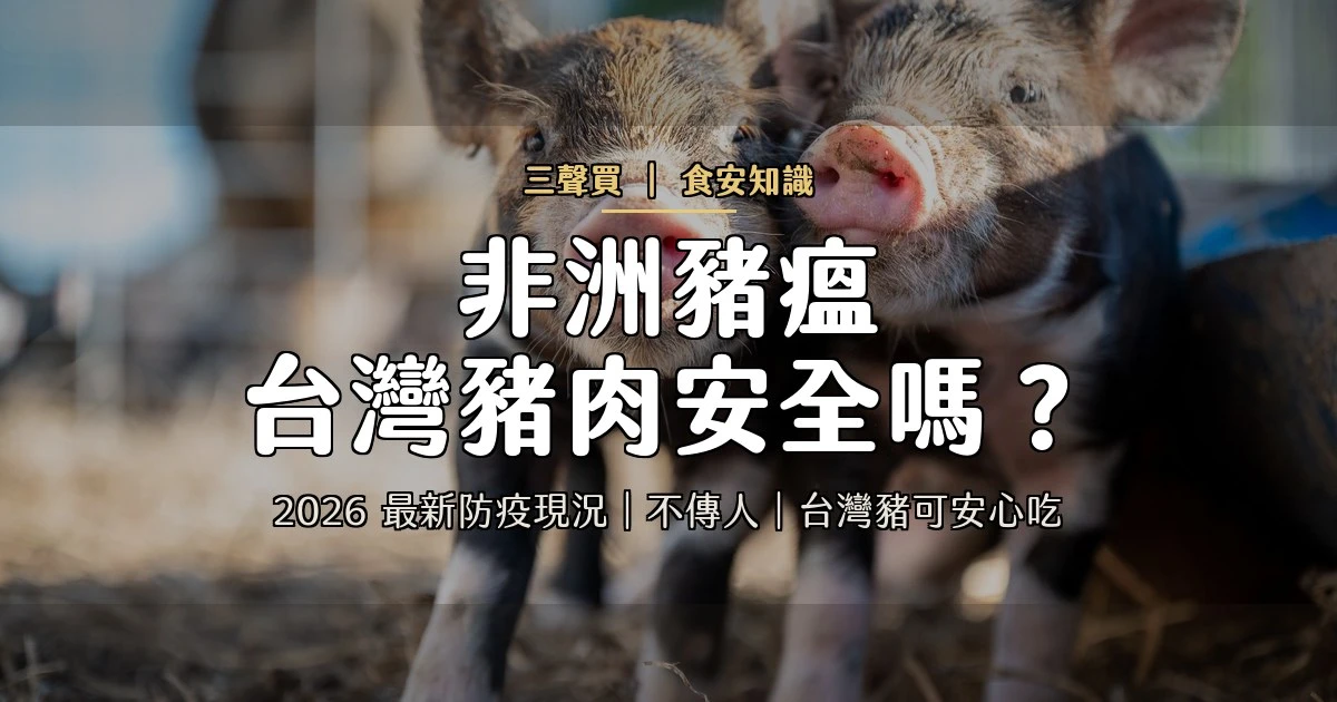 非洲豬瘟是什麼？台灣豬肉安全嗎？2026 最新防疫現況完整解析