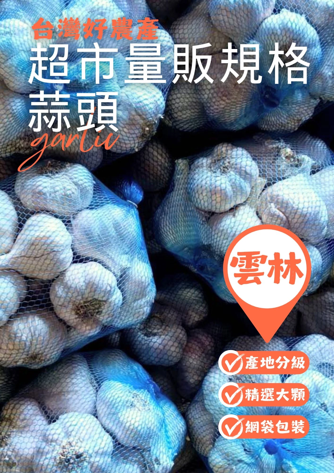 雲林現採蒜頭600g（冷凍出貨可接受再下單）