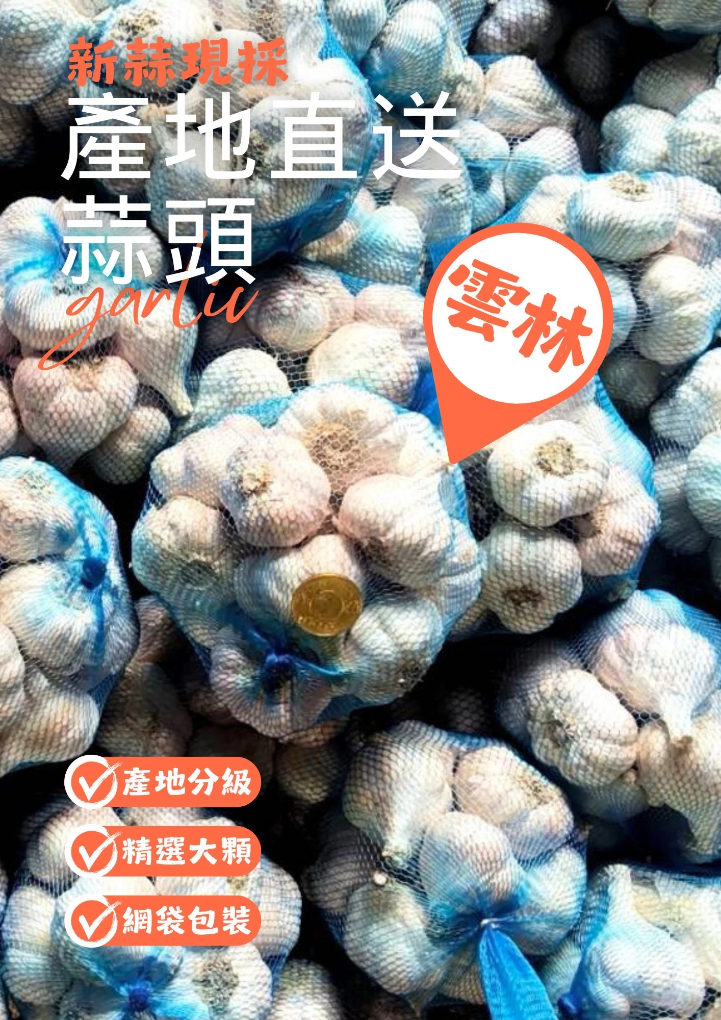 雲林現採蒜頭600g（冷凍出貨可接受再下單）
