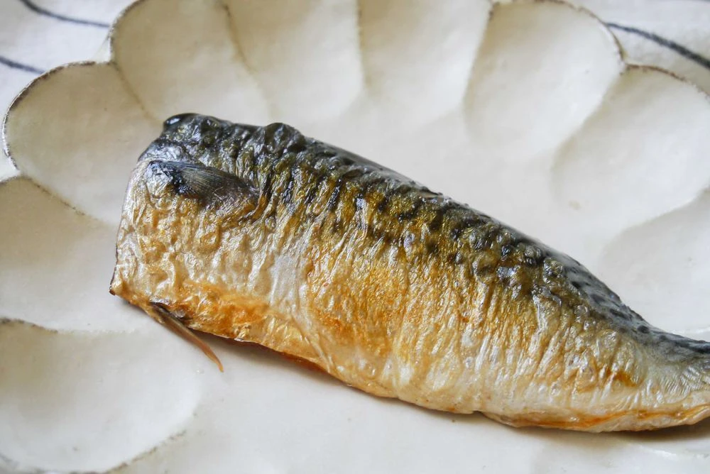 煎烤後的鯖魚片近拍，魚皮金黃、魚肉細緻