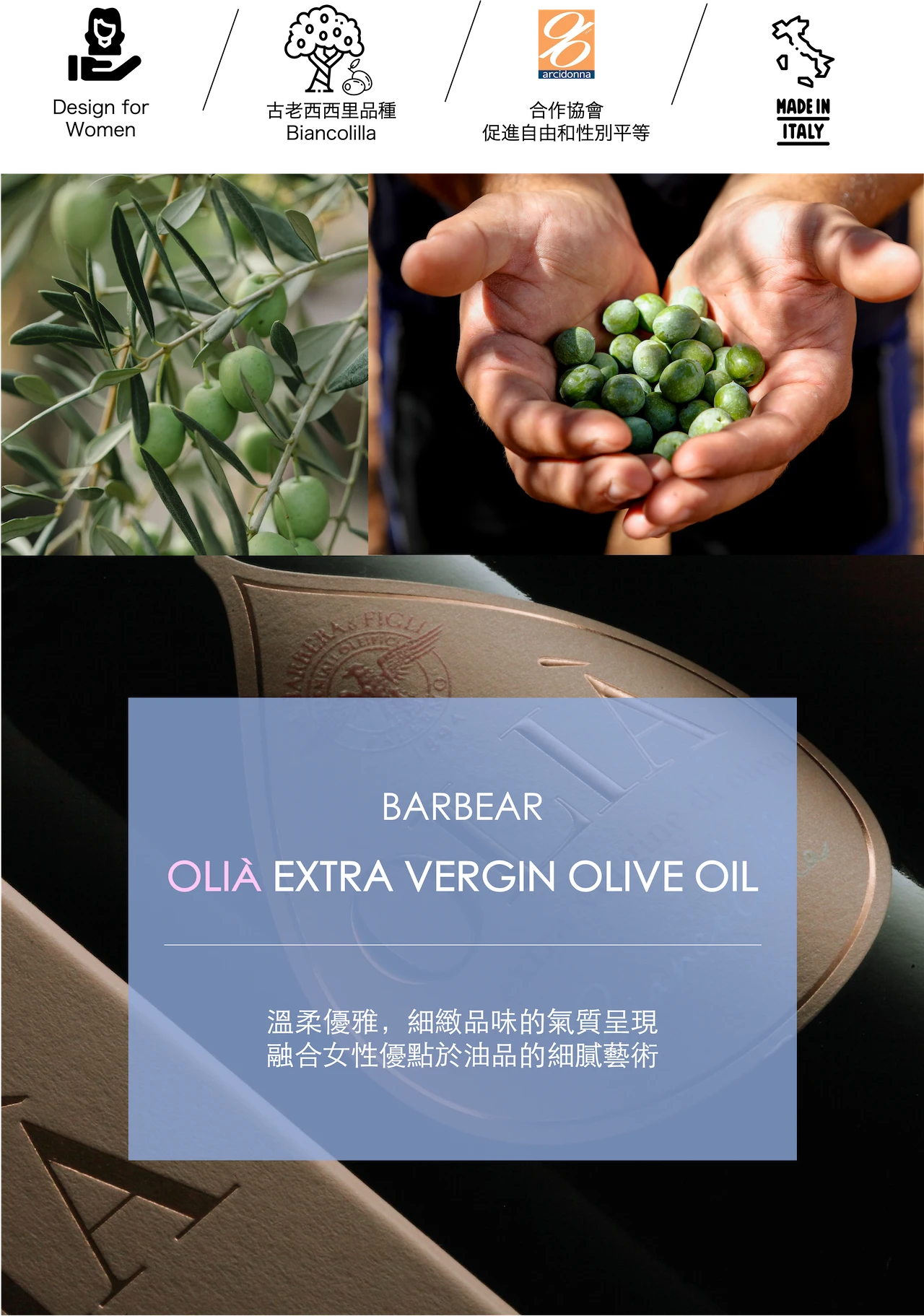 olia橄欖油簡介