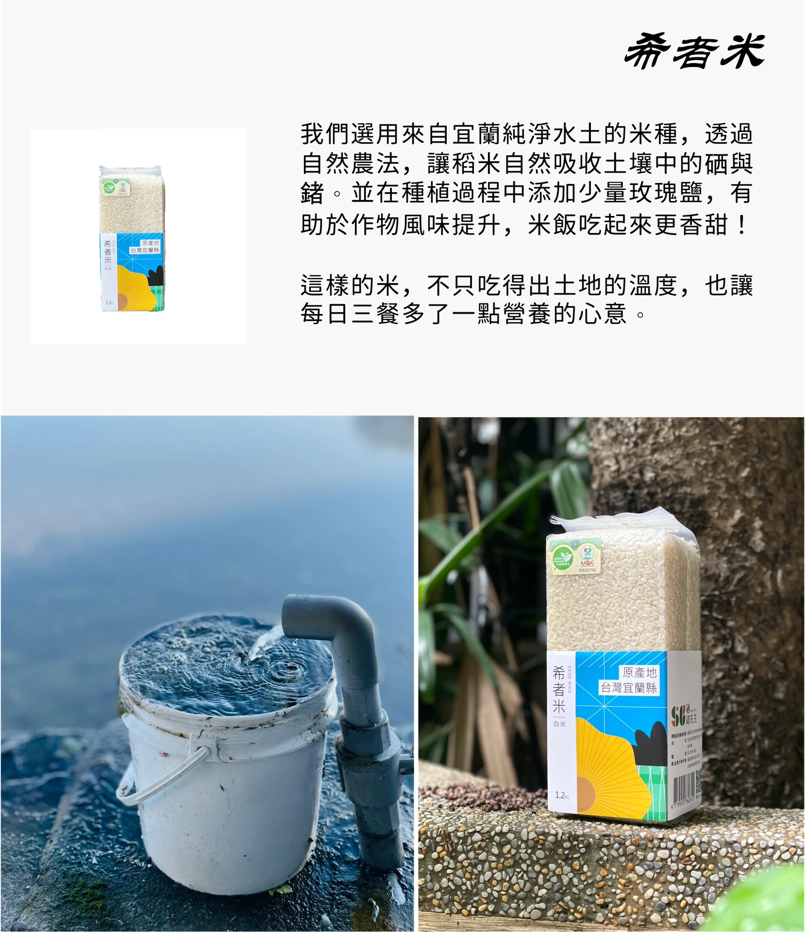 硒鍺米的有機白米與糙米