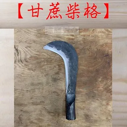 甘蔗柴格