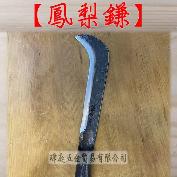鳳梨鎌 單肉