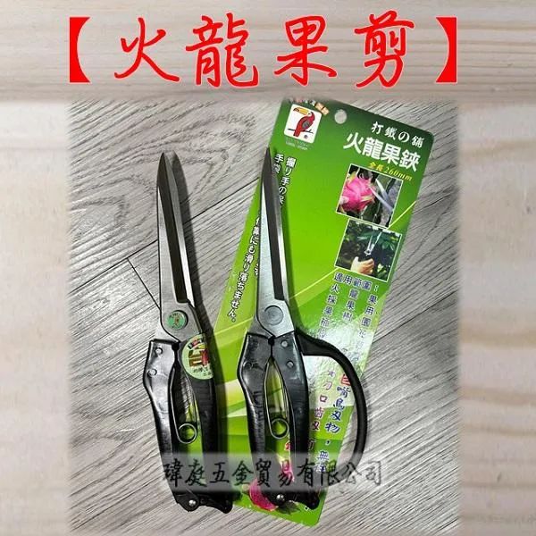 火龍果剪