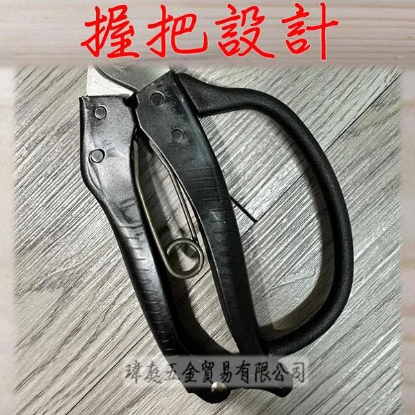 火龍果剪