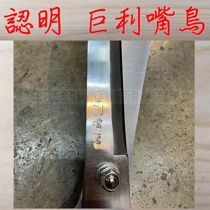 巨利嘴鳥 白鐵樹剪