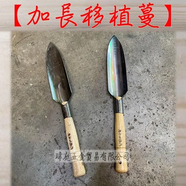 加長型 移植蔓