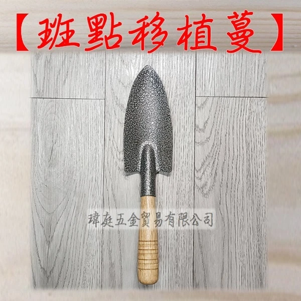 斑點移植蔓 加厚款