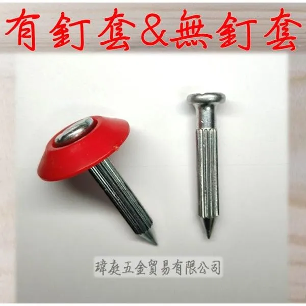 界址釘 中 含PVC紅套 長5.6公分 單支