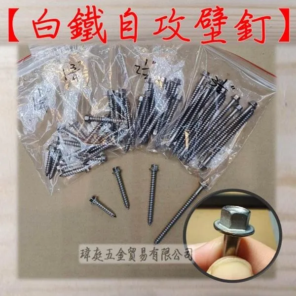 白鐵 2分 自攻壁釘 10入