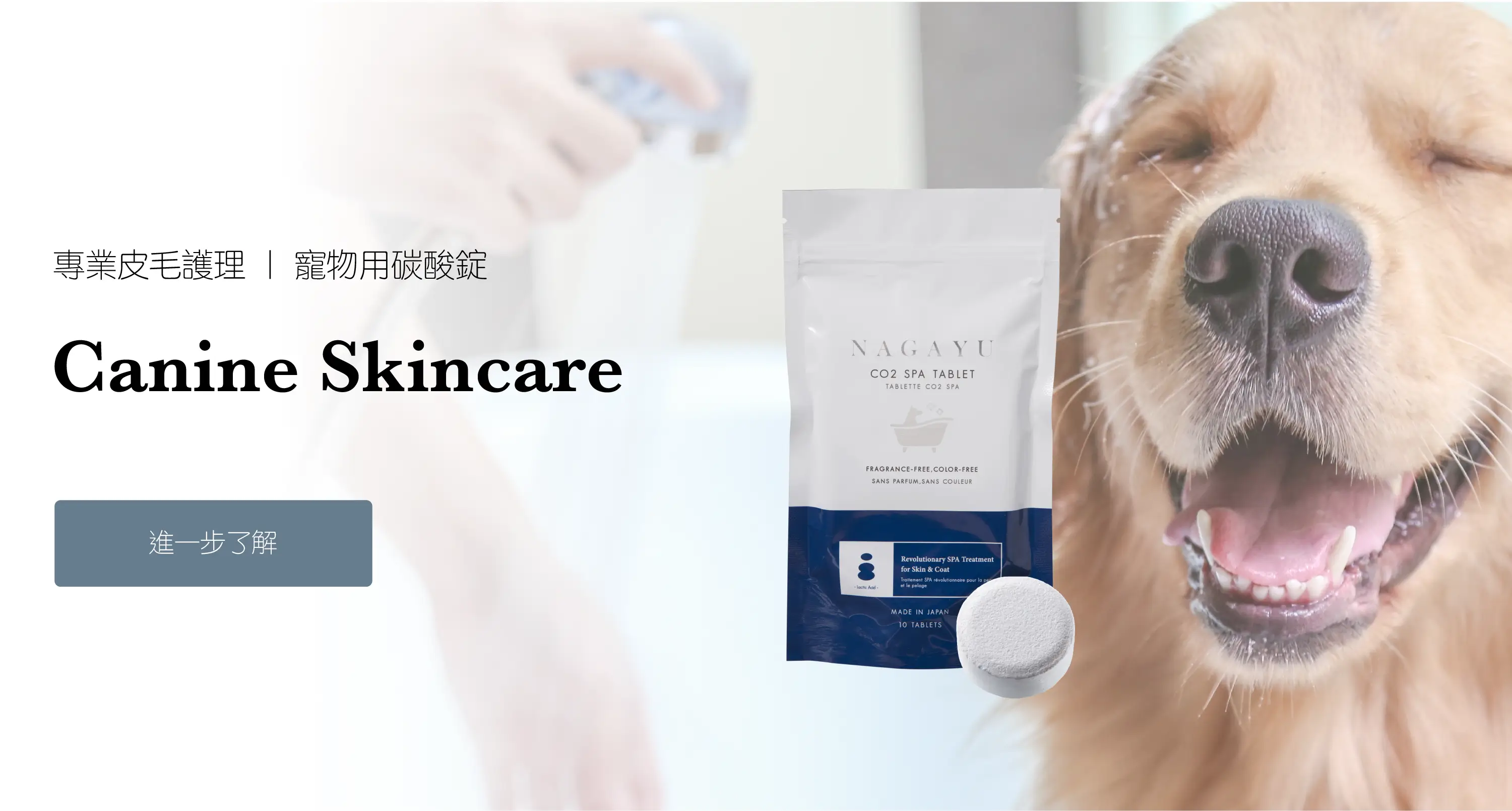 寵物碳酸錠