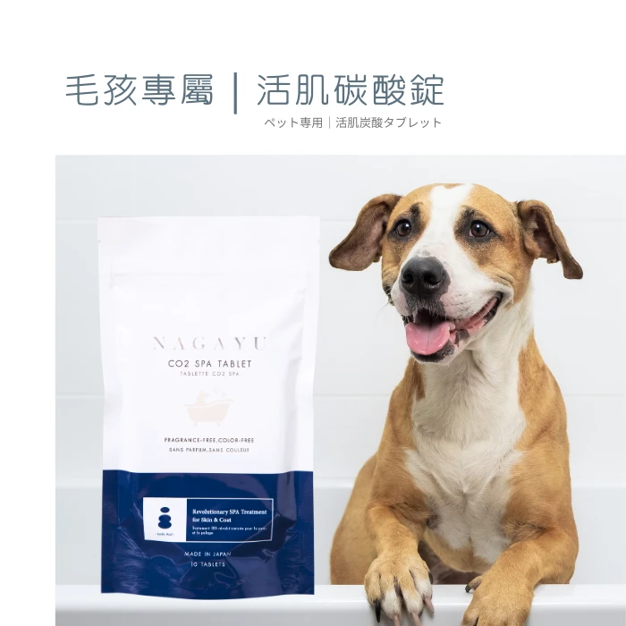 寵物碳酸錠