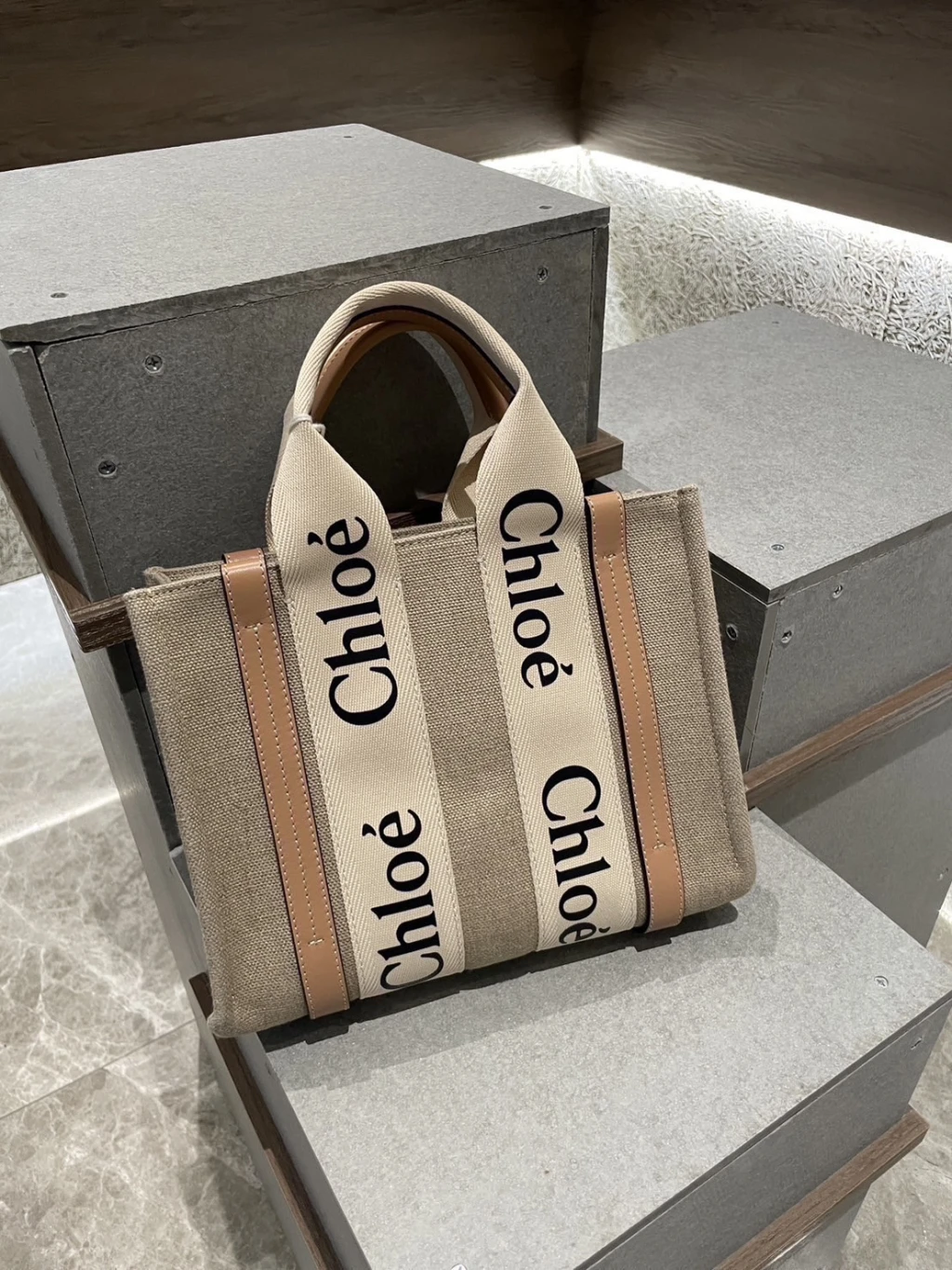 Chloe 膚色 小號 托特包