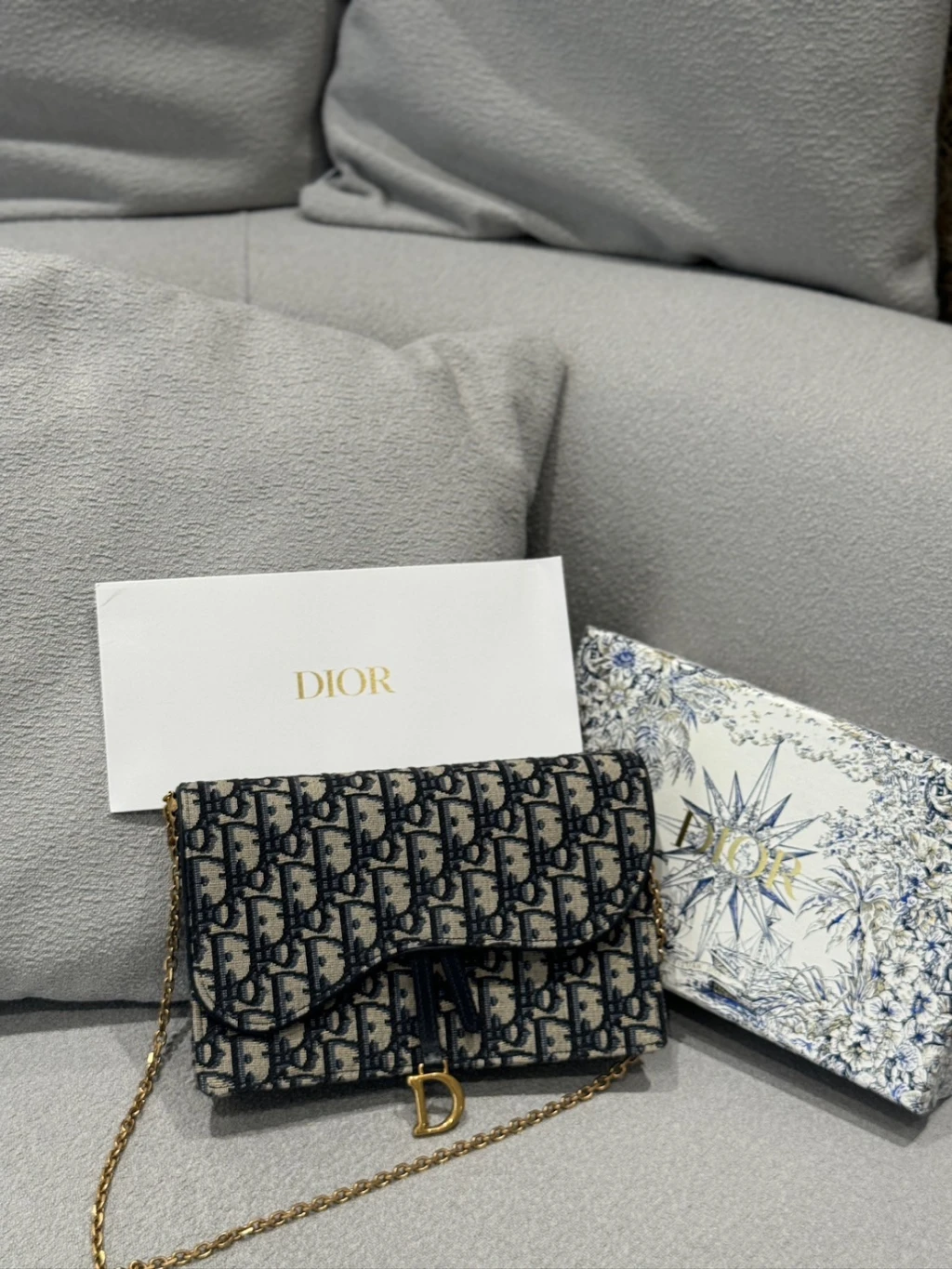 Dior saddle 鏈條包