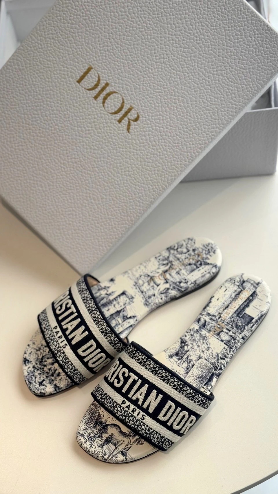 Dior 刺繡拖鞋