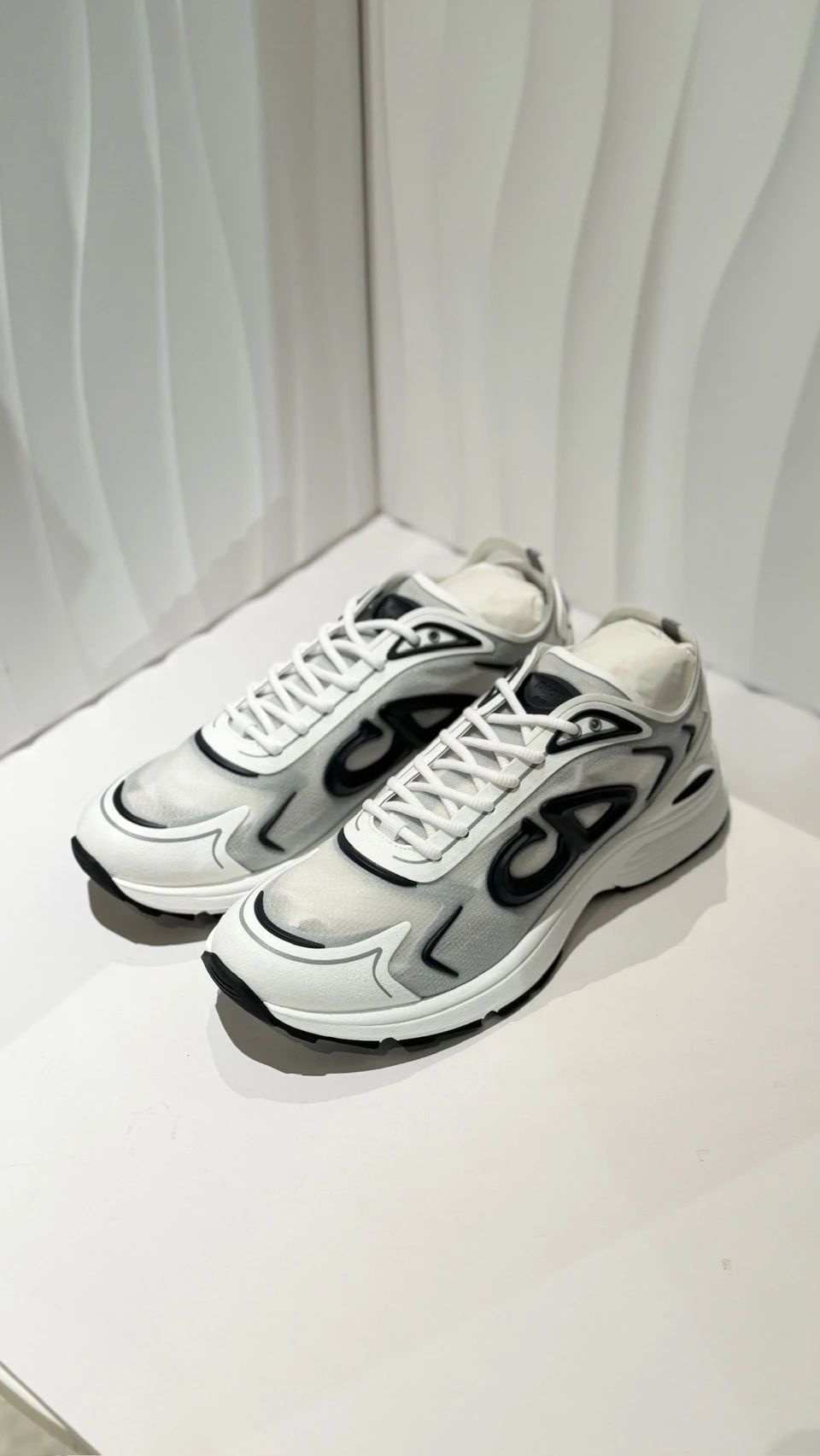 Dior B30 運動鞋