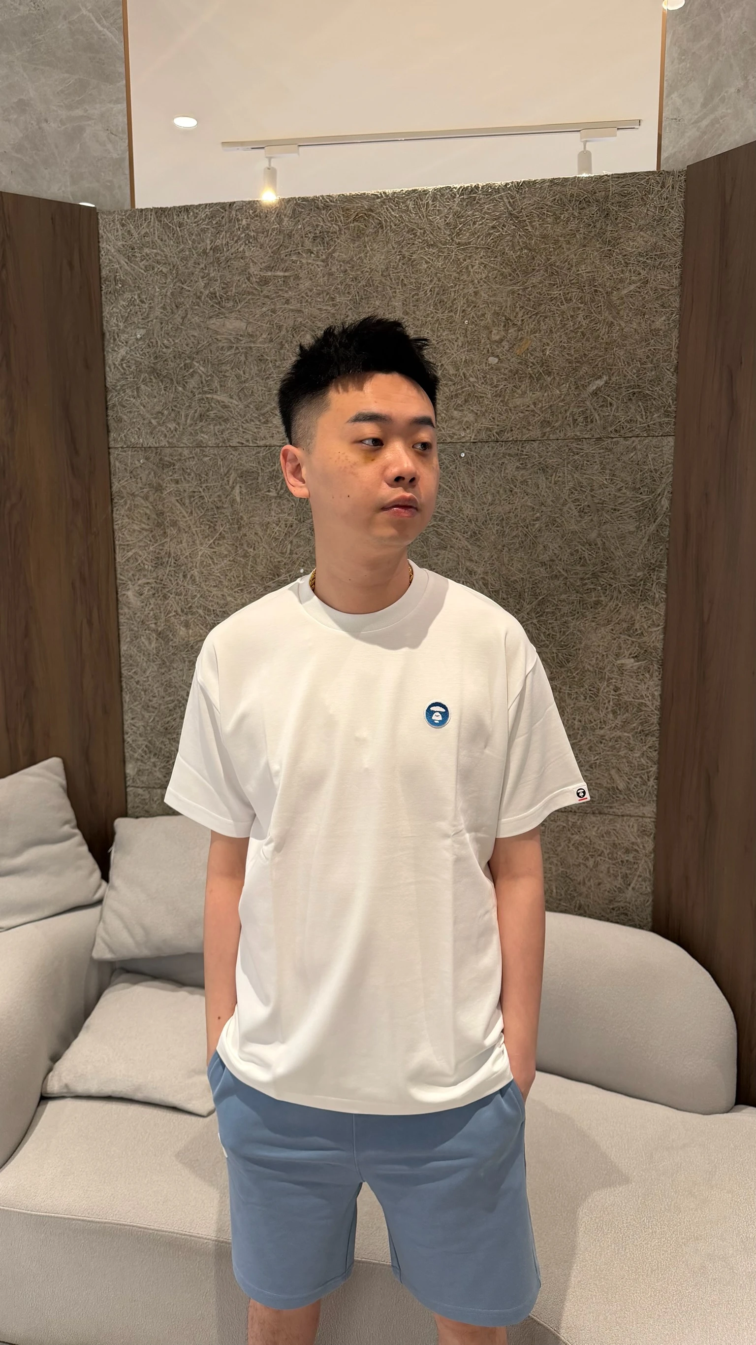 Aape 藍標素踢