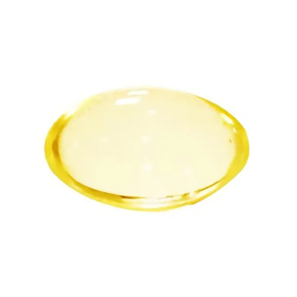 大蒜油膠囊  GARLIC OIL CAPSULES - 大蒜濃縮萃取
