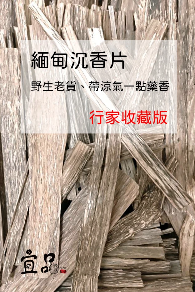 頂級惠安系列偏芽莊《緬甸沉香片》帶涼氣